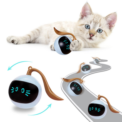 Kitten Electronic Ball Toy