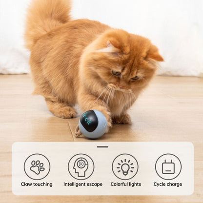 Kitten Electronic Ball Toy